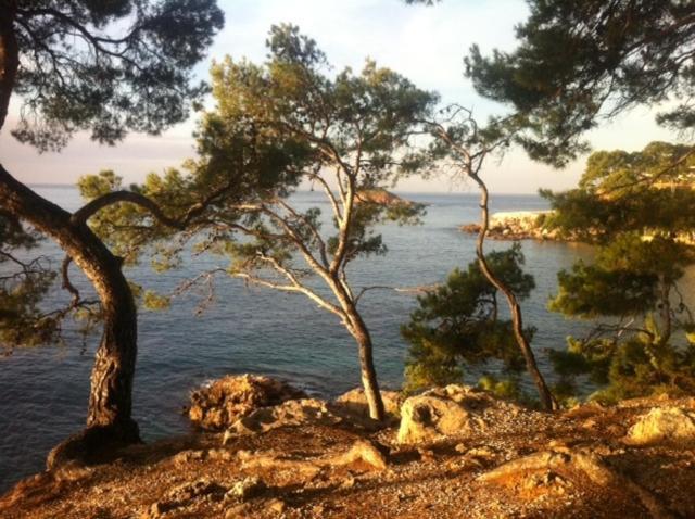 Le Hameau De La Crique De L'Anglaise Bandol Zewnętrze zdjęcie